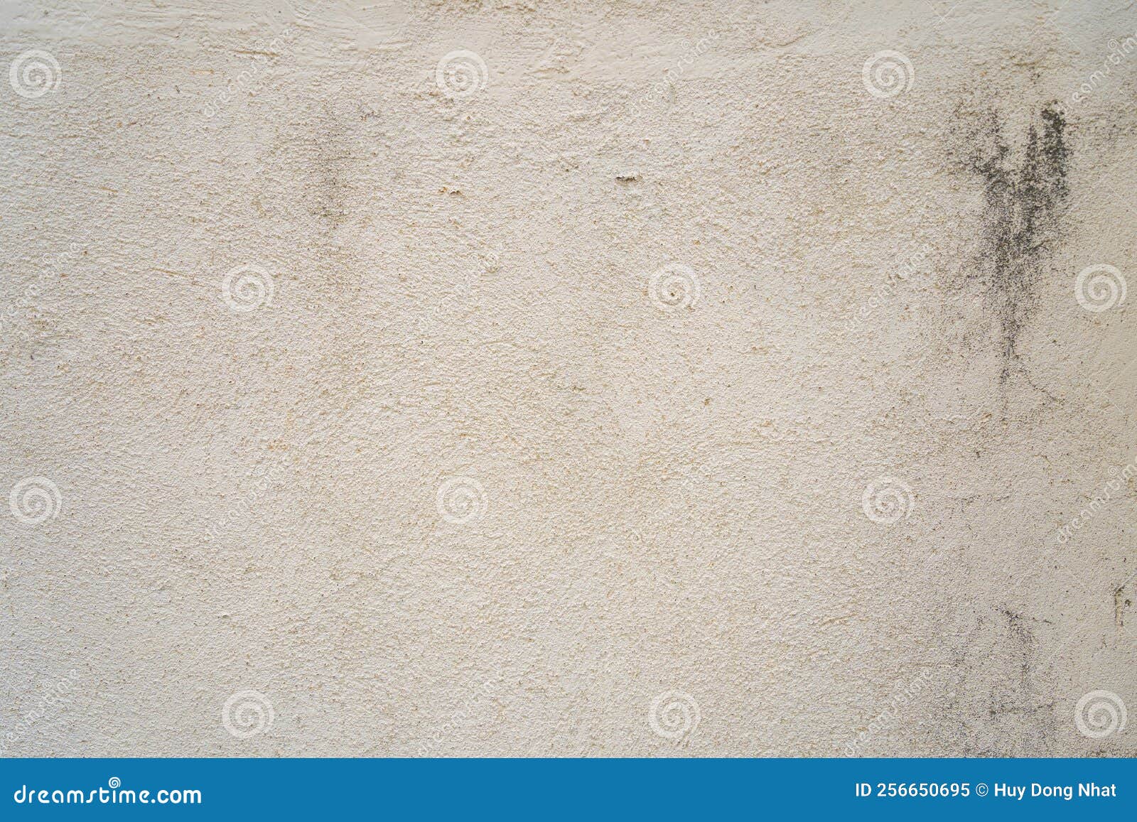 texture of old gray concrete wall for background. rustÃ¢â¬â¹ damagedÃ¢â¬â¹ toÃ¢â¬â¹ surfaceÃ¢â¬â¹ wallÃ¢â¬â¹ concreteÃ¢â¬â¹ forÃ¢â¬â¹ backgroundÃ¢â¬â¹.